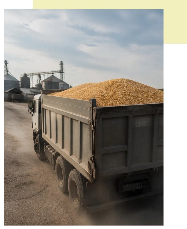 Перевозка сельхозпродукции навалом в Назарово по цене от 3083 р. | Агросервис-Нрв